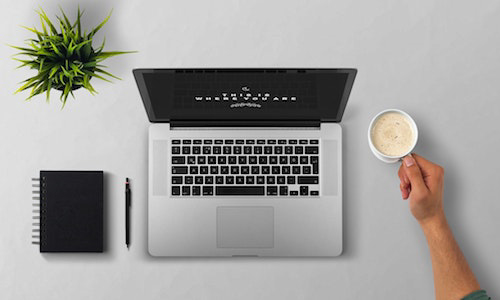 Flutter + Golang Developer